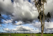 乌拉圭为何不与中国建交？事实是，乌拉圭早已与中国建交！